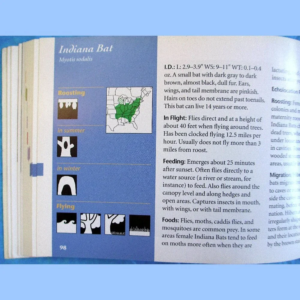 Book: Stokes Beginner's Guide to Bats -- a pocket-sized field guide - Picture 9 of 16